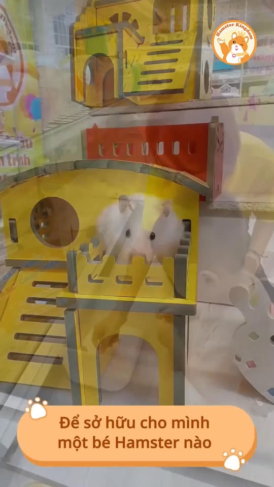 [🆕🇻🇳] Koso Vietnam 🚗 Top1Go 🏍️   KOSO Super Slim Volt Meter – Nhỏ gọn nhưng cực kỳ hữu íchƯu điểm sản phẩm
1. Thiết kế siêu mỏng, dễ lắp đặt
Không chiếm diện tích, phù hợp nhiều dòn , shares-0✔️ , likes-2❤️️ , date-2025-12-09 18:50:31🇻🇳🇻🇳🇻🇳📰🆕