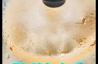 [🆕🇻🇳] Há cảo HAPPY – Tiệm bánh 🍔 Top1Food  🍜 Mình thèm Há Cảo mà mình đang ngán thịt cá, hải sản thì mình chuyển sang ăn há cảo rau củ nấm nhen cả nhà. Nó cũng ngon xuất sắc không thua gì há cảo tôm,  , shares-0✔️ , likes-0❤️️ , date-2025-12-10 17:32:03🇻🇳🇻🇳🇻🇳📰🆕