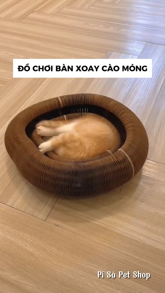 [🆕🇻🇳] Pi Sà Pet Shop – cửa hàng đồ thú cưng cao cấp, chuyên cung cấp thức ăn, phụ kiện, đồ dùng chó mèo 🐶🦜 Top1Pets 🐱🐠 Món đồ chơi Boss nào cũng mê tít
#reelsviral #viral #meow #cat #pet #funny #reel #xuhuong #viralreels #bancaomong #dochoichomeo , shares-0✔️ , likes-0❤️️ , date-2025-12-12 01:22:49🐶🐱🇻🇳🇻🇳🇻🇳📰🆕