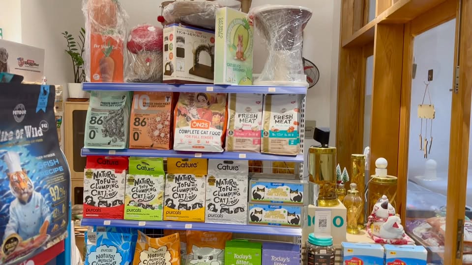 [🆕🇻🇳] BAMIN PET HOME Cần Thơ – Cửa hàng chăm sóc thú cưng & dịch vụ Gromming 🐶🦜 Top1Pets 🐱🐠 Merry Christmas_______________________________
𝐏𝐞𝐭 𝐒𝐡𝐨𝐩-Pet Hotel-Pet 𝐒𝐩𝐚-𝐆𝐫𝐨𝐨𝐦𝐢𝐧𝐠-𝐀𝐜𝐚𝐝𝐞𝐦𝐲
8h00 – 20h00
I2, Nguyễn Ngọc Trai, Xuân Khánh, Cần Thơ
096 , shares-4✔️ , likes-1❤️️ , date-2025-12-07 10:50:06🐶🐱🇻🇳🇻🇳🇻🇳📰🆕