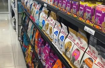 [🆕🇻🇳] TiTi Pet-Shop thú cưng – Quần áo, Thức ăn, Sữa tắm,Vitamin và phụ kiện cho chó mèo 🐶🦜 Top1Pets 🐱🐠 SALESALESALE ê hề các dòng hạt, pate tại Titi nà! Tri ân Khách hàng đón Noel ạ!!
————-//————
#TiTiPet: 245 đường số 8, p11, Gò Vấp, tphcm   , shares-0✔️ , likes-4❤️️ , date-2025-12-11 23:39:52🐶🐱🇻🇳🇻🇳🇻🇳📰🆕
