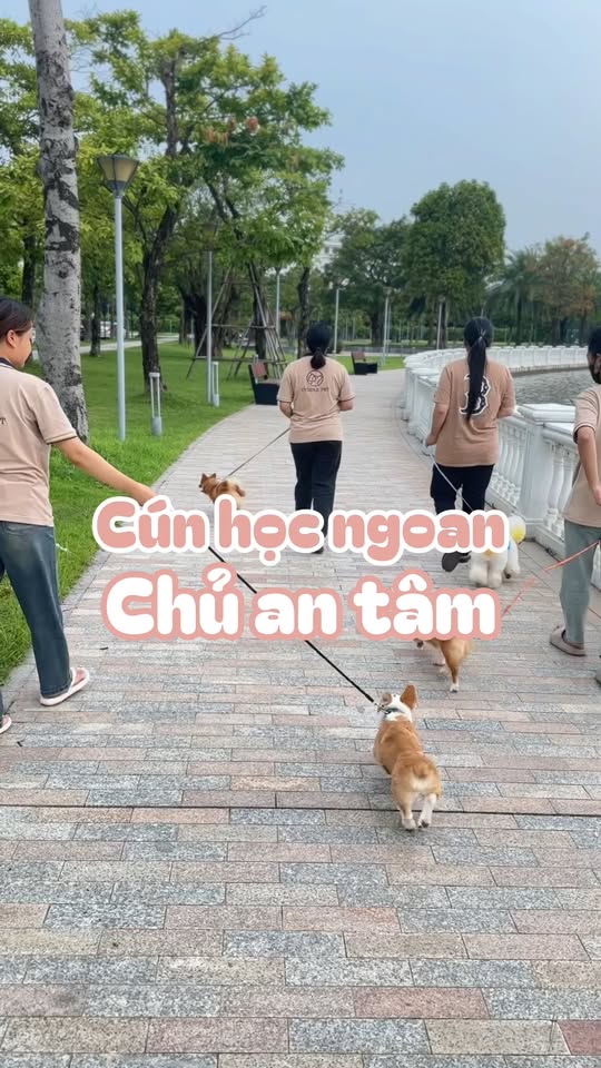 [🆕🇻🇳] CUDDLE PET – 𝐒𝐏𝐀 & 𝐇𝐎𝐓𝐄𝐋 🐶🦜 Top1Pets 🐱🐠 Cún học ngoan – chủ yên tâmNhiều sen rất thương cún của mình, dù đôi khi các bé hơi “phá” – sủa ầm ĩ, cắn đồ, không chịu nghe lời…
Nhưng lại e ngại việc , shares-0✔️ , likes-3❤️️ , date-2025-12-06 04:15:01🐶🐱🇻🇳🇻🇳🇻🇳📰🆕