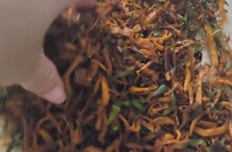 [🆕🇻🇳] Bán sỉ lẻ thời trang mẹ và bé 👕 Top1Fashion 👗  kết quả của việc nhờ lão ck
aaaaaaaa
ta nói nó tức….. , shares-0✔️ , likes-3❤️️ , date-2025-12-10 02:36:37🇻🇳🇻🇳🇻🇳📰🆕