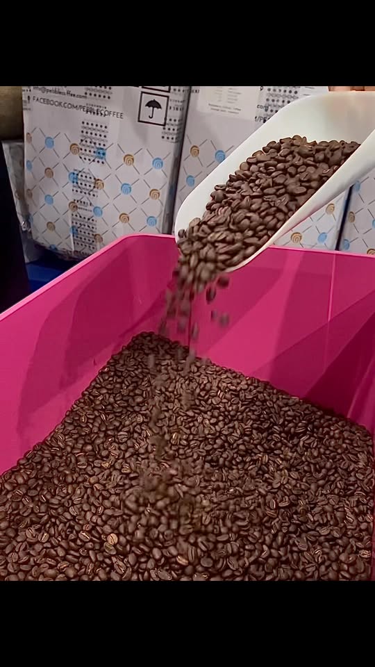 [☕️🇻🇳] Anni Coffee Cà Mau  🥤 Top1Coffee ☕️ Ngày mới tươi xanh.
, shares-1✔️ , likes-6❤️️ , date-2025-12-10 15:53:06🇻🇳🇻🇳🇻🇳📰🆕