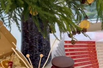 [🆕🇻🇳] Connect & Inspire Yoga  🧘 Top1Yoga 🤸🏻‍♀️ Lung linh đón chào Học viên đến với khai giảng Đánh thức tư duy nhà trị liệu Yoga.
#Yogatherapyfoundation100hrs , shares-0✔️ , likes-11❤️️ , date-2025-12-10 01:22:48🇻🇳🇻🇳🇻🇳📰🆕