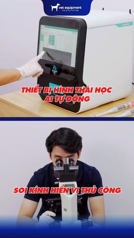 [🆕🇻🇳] Honda BigBike Việt Nam – Xe phân khối lớn của Honda tại Việt Nam 🚗 Top1Go 🏍️  MỖI LẦN LĂN BÁNH LÀ MỘT BÀI HỌCVới biker, cung đường chính là lớp học, còn hành trình chính là người thầy tận tâm nhất. Học không qua sách vở mà qua trải , shares-0✔️ , likes-8❤️️ , date-2025-12-06 03:01:10🇻🇳🇻🇳🇻🇳📰🆕