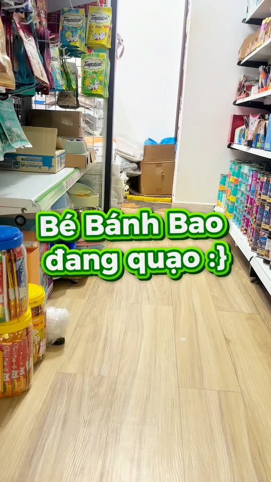 [🆕🇻🇳] Pet’s Home – Hệ thống cửa hàng thú cưng 🐶🦜 Top1Pets 🐱🐠 Mọi cái khổ trên cuộc đời này không cái nào qua được nỗi khổ Bánh Bao, sau này Bánh Bao sẽ biết, mọi chuyện shop làm là vì content haha
#PetsHome #BanhBa , shares-0✔️ , likes-4❤️️ , date-2025-12-11 17:39:38🐶🐱🇻🇳🇻🇳🇻🇳📰🆕