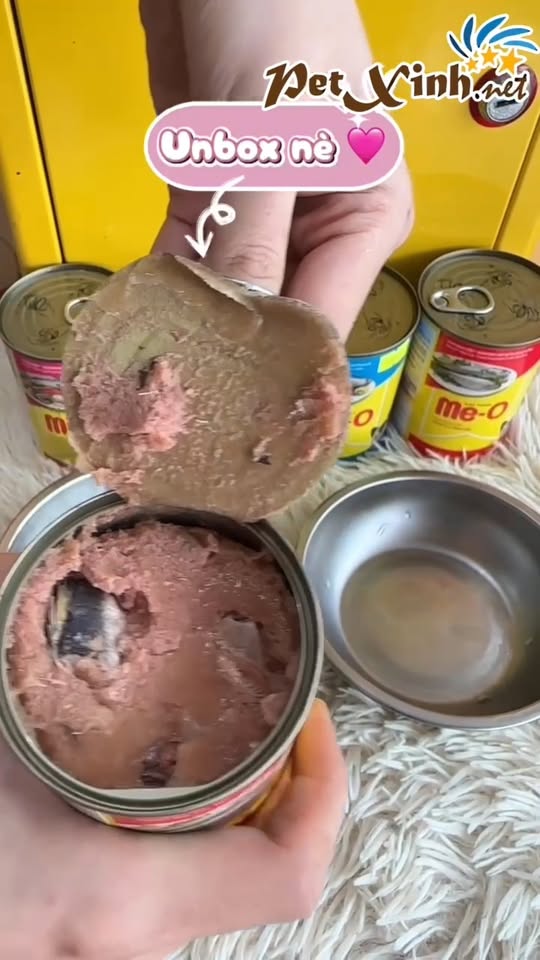 [🆕🇻🇳] PetXinh.net – Nhím kiểng, Hamster, Thỏ, Sóc 🐶🦜 Top1Pets 🐱🐠 cùng petxinh.net cho các mèo mẹ tẩm bổ nào.
#cutepets #mèo #PetShop #kitten #PetXinh #trend #quàtặng #pet #xuhuong #minigame , shares-0✔️ , likes-2❤️️ , date-2025-12-09 02:00:24🐶🐱🇻🇳🇻🇳🇻🇳📰🆕