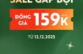 [🆕🇻🇳] 5S Fashion Thụy Sơn – Thái Bình 👕 Top1Fashion 👗  \ud83d\udd25 \u0110\u1ea0I TI\u1ec6C CU\u1ed0I N\u0102M \u2013 SALE X2 B\u00d9NG N\u1ed4 T\u1eea 12.12! \u26a1\nV\u00e0o m\u00f9a l\u1ec5 h\u1ed9i l\u00e0  , shares-0✔️ , likes-0❤️️ , date-2025-12-11 17:46:22🇻🇳🇻🇳🇻🇳📰🆕