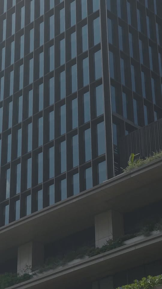 [🆕🇻🇳] AMI Cửa hàng quần áo nữ 👕 Top1Fashion 👗  MUSE IN THE ROMANTIC GARDEN” 

“Muse in the Romantic Garden” là bản giao hưởng của sự dịu dàng và phóng khoáng — nơi nàng thơ AMI lạc bước giữa khu vườn ph , shares-1✔️ , likes-4❤️️ , date-2025-12-11 15:55:00🇻🇳🇻🇳🇻🇳📰🆕