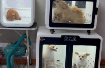 [🆕🇻🇳] Bệnh Viện Thú Y LAN PET Hà Nam 🐶🦜 Top1Pets 🐱🐠 Lồng sấy an toàn chuyên dụng cho thú cưng ở Lan Pet # thú y uy tín tại Hà Nam , shares-0✔️ , likes-10❤️️ , date-2025-12-07 20:47:38🐶🐱🇻🇳🇻🇳🇻🇳📰🆕