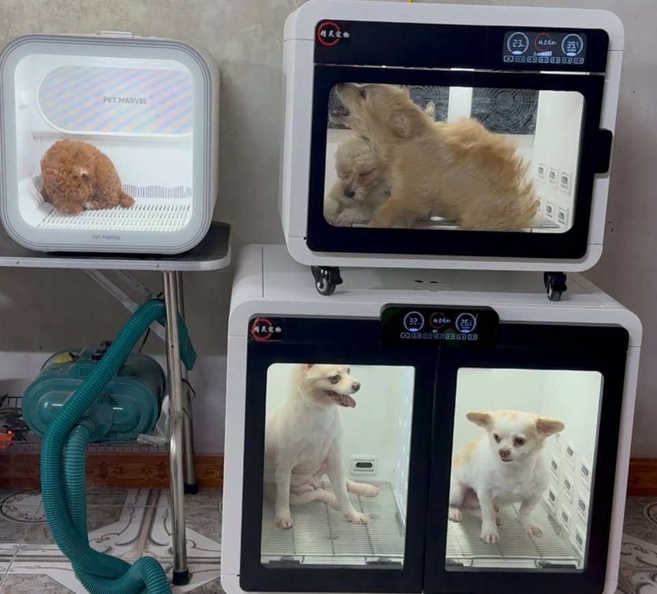 [🆕🇻🇳] PP’s Grooming –  chuyên về các dịch vụ tắm, cắt, tạo kiểu theo yêu cầu 🐶🦜 Top1Pets 🐱🐠 Hôm nay nhà mình đón một em bé đi spa lần đầu. Bé siêu quậy, rụng lông nhiều chỗ nhưng không sao, chú luôn cố gắng làm bé xinh nhất có thể nháBa mẹ có t , shares-6✔️ , likes-147❤️️ , date-2025-12-07 21:46:49🐶🐱🇻🇳🇻🇳🇻🇳📰🆕