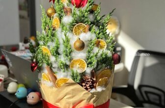 [🆕🇻🇳] Nhà Là Mèo – Dịch vụ thú cưng 🐶🦜 Top1Pets 🐱🐠 Tùng Cam size L cho khách
thoảng nhẹ mùi quế , cam dễ chịu thư giãn lắm luôn á
, shares-0✔️ , likes-0❤️️ , date-2025-12-08 02:06:55🐶🐱🇻🇳🇻🇳🇻🇳📰🆕