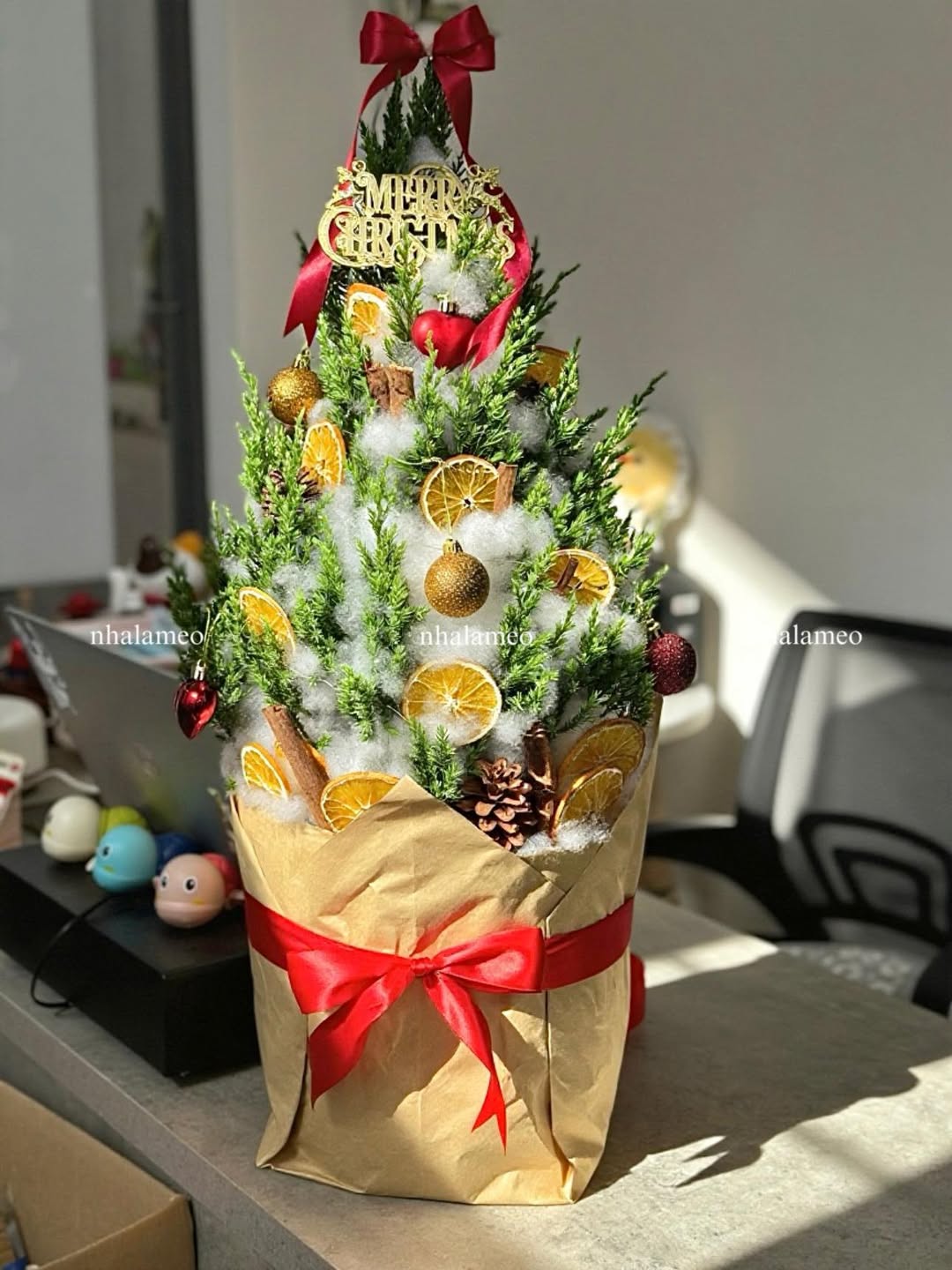 [🆕🇻🇳] Nhà Là Mèo – Dịch vụ thú cưng 🐶🦜 Top1Pets 🐱🐠 Tùng Cam size L cho khách
thoảng nhẹ mùi quế , cam dễ chịu thư giãn lắm luôn á
, shares-0✔️ , likes-0❤️️ , date-2025-12-08 02:06:55🐶🐱🇻🇳🇻🇳🇻🇳📰🆕