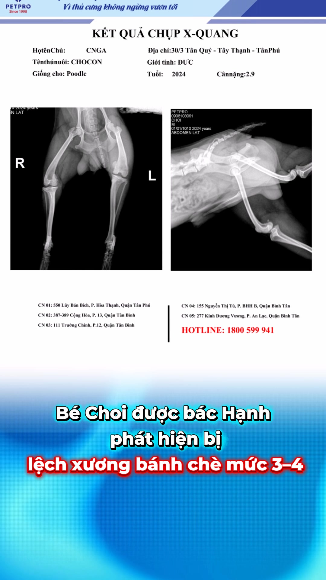 [🆕🇻🇳] Yuppy Puppy – Khách Sạn & Spa Thú Cưng 🐶🦜 Top1Pets 🐱🐠 (っ◔◡◔)っ  Paiting workshop for your pup𝑇ℎ𝑖𝑠 𝐶ℎ𝑟𝑖𝑠𝑚𝑎𝑠𝑡, 𝑌𝑢𝑝𝑝𝑦 𝑃𝑢𝑝𝑝𝑦 ℎ𝑜𝑙𝑑 𝑎 𝑤𝑜𝑟𝑘𝑠ℎ𝑜𝑝 𝑓𝑜𝑟 𝑦𝑜𝑢𝑟 𝑝𝑢𝑝 𝑡𝑜 𝑠ℎ𝑜𝑤 𝑝𝑎𝑖𝑛𝑡𝑖𝑛𝑔 𝑡𝑎𝑙𝑒𝑛𝑡 𝑤𝑖𝑡ℎ 𝑝𝑎𝑤 𝑝𝑟𝑖𝑛𝑡𝑖𝑛𝑔 𝑡𝑒𝑐ℎ𝑛𝑖𝑞𝑢𝑒The  , shares-0✔️ , likes-1❤️️ , date-2025-12-07 03:08:32🐶🐱🇻🇳🇻🇳🇻🇳📰🆕