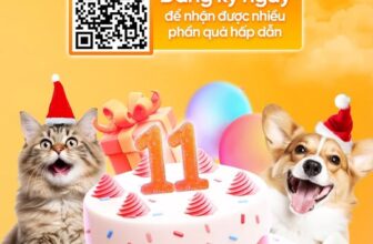 [🆕🇻🇳] Bệnh viện Thú Y 2Vet – Số 3 Văn Cao 🐶🦜 Top1Pets 🐱🐠 ĐỪNG QUÊN THÁNG 12 NÀY CÓ HẸN VỚI 2VET VĂN CAO NHAAAA!!!KỶ NIỆM 11 NĂM THÀNH LẬP
BỆNH VIỆN THÚ Y 2VET VĂN CAO
>> Hàng ngàn ƯU ĐÃI và QUÀ TẶNG SIÊU XỊN đa , shares-0✔️ , likes-2❤️️ , date-2025-12-11 16:09:57🐶🐱🇻🇳🇻🇳🇻🇳📰🆕