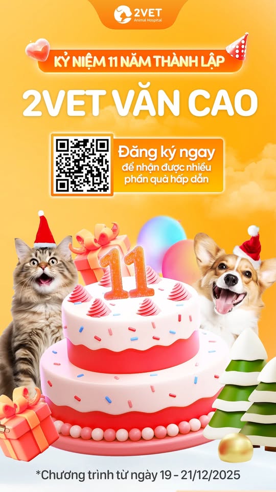 [🆕🇻🇳] Măng Kids – Chuyên sản xuất và cung cấp sỉ, lẻ thời trang trẻ em giá rẻ 🧑‍🧒❤️️👶⭐️ Áo ba lỗ nhanh khô phong cách thể thao cho nam #thoitrangnu #ao #aothun #thoitrangnam , shares-0✔️ , likes-0❤️️ , date-2025-12-11 16:02:45🇻🇳🇻🇳🇻🇳📰🆕