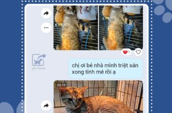 [🆕🇻🇳] Bệnh Viện Thú Y Petshare 366 Khương Đình 🐶🦜 Top1Pets 🐱🐠 Hành trình triệt sản của Bé Điệu”  tại Petshare
______________
Cơ sở 1: 372 Khương Đình, Thanh Xuân, Hà Nội
Cơ sở 2: 593 Kim Ngưu, Hai Bà Trưng, Hà Nội
, shares-1✔️ , likes-2❤️️ , date-2025-12-08 02:57:45🐶🐱🇻🇳🇻🇳🇻🇳📰🆕