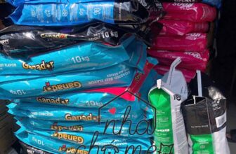 [🆕🇻🇳] Nhà Chó Mèo – Pet Shop – Pet Hotel  🐶🦜 Top1Pets 🐱🐠
——————————————————
𝐂𝐡𝐮𝐲𝐞̂𝐧 𝐜𝐮𝐧𝐠 𝐜𝐚̂́𝐩  𝐒𝐈̉ – 𝐋𝐄̉  𝐭𝐡𝐮̛́𝐜 𝐚̆𝐧 𝐜𝐡𝐨́ 𝐦𝐞̀𝐨
Các mặt hàng #Keos #Ganador #Minino #catson #catseye #zoicat #zoidog #novopet #theb , shares-0✔️ , likes-4❤️️ , date-2025-12-09 22:14:55🐶🐱🇻🇳🇻🇳🇻🇳📰🆕