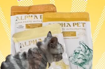 [🆕🇻🇳] Alpha Pet Vietnam – Vật phẩm dành cho thú cưng 🐶🦜 Top1Pets 🐱🐠 Cái giá phải trả khi làm mèo Tây gốc Việt Nam©Nhà của Mèo Mơ
#alphapetvietnam , shares-0✔️ , likes-49❤️️ , date-2025-12-08 02:31:34🐶🐱🇻🇳🇻🇳🇻🇳📰🆕