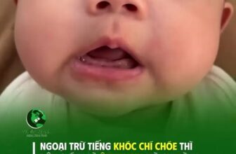 [🆕🇻🇳] MẸ Coca – Kho Sơ Sinh giá rẻ 🧑‍🧒❤️️👶⭐️  , shares-0✔️ , likes-2❤️️ , date-2025-12-06 19:19:33🇻🇳🇻🇳🇻🇳📰🆕