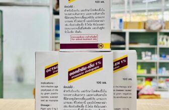 [🆕🇻🇳] Nhà Phân Phối Thuốc Thú Y Và Thức Ăn Gia Súc Kim Cương 👕 Top1Fashion 👗   Đánh bay nỗi lo bệnh đường hô hấp & tiêu hóa trên heo & gà!
𝐎𝐂𝐓𝐀𝐂𝐈𝐍-𝐄𝐍 𝟏% – Đặc trị hiệu quả các bệnh nhiễm khuẩn đường hô hấp và tiêu hóa (tiêu chảy) tr , shares-0✔️ , likes-5❤️️ , date-2025-12-10 22:44:28🇻🇳🇻🇳🇻🇳📰🆕