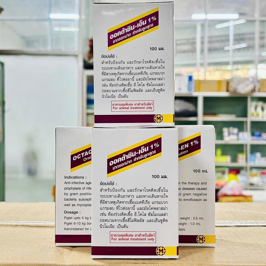 [🆕🇻🇳] Nhà Phân Phối Thuốc Thú Y Và Thức Ăn Gia Súc Kim Cương 👕 Top1Fashion 👗   Đánh bay nỗi lo bệnh đường hô hấp & tiêu hóa trên heo & gà!
𝐎𝐂𝐓𝐀𝐂𝐈𝐍-𝐄𝐍 𝟏% – Đặc trị hiệu quả các bệnh nhiễm khuẩn đường hô hấp và tiêu hóa (tiêu chảy) tr , shares-0✔️ , likes-5❤️️ , date-2025-12-10 22:44:28🇻🇳🇻🇳🇻🇳📰🆕