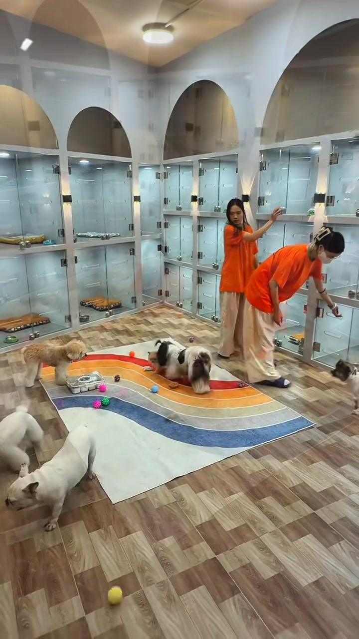 [🆕🇻🇳] Liên Boutique – Váy Đầm Thời Trang Thiết Kế 👕 Top1Fashion 👗  BODY ỐNG VỪA SANG CHẢNH VÀ CHE HẾT TẤT TẦN TẬT CÁC KHUYẾT ĐIỂMPr.ice : 5xx
Chất co giãn 4 chiều
Size : S , MHình chụp từ sản phẩm thật
Form và chất  , shares-0✔️ , likes-6❤️️ , date-2023-07-10 03:55:38🇻🇳🇻🇳🇻🇳📰🆕