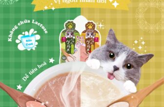 [🆕🇻🇳] Sâu’s Mate Land – Cửa hàng vật nuôi 🐶🦜 Top1Pets 🐱🐠 Trời ơi sao món gì ngon vậy mà giờ mới dâng lên các Hoàng Thượng vậyyyy???
———————
Sâu’s Mate Land
Petshop – Hotel – Daycare – Spa
NT08-167 Ngọc Trai 08 ( , shares-1✔️ , likes-0❤️️ , date-2025-12-12 02:00:38🐶🐱🇻🇳🇻🇳🇻🇳📰🆕