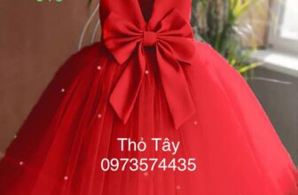 [🆕🇻🇳] Homi baby house – Thương hiêu đầm dạ hội , đầm công chúa cho bé tuổi từ 1-10 tuổi 🧑‍🧒❤️️👶⭐️ Váy công chúa đỏ tim nơ cho bé
Đủ size 7kg_49kg
Giáng sinh đến rồi rinh ngay em đỏ tim nơ cho bé yêu dự tiệc thôi ạ
0973574435
, shares-0✔️ , likes-0❤️️ , date-2025-12-08 15:39:02🇻🇳🇻🇳🇻🇳📰🆕