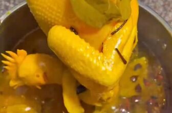 [🆕🇻🇳] Gia Vị Gà Ủ Muối Tại Nhà 🍔 Top1Food  🍜 CỰC HOT VỚI GÓI GIA VỊ LÀM GÀ Ủ MUỐI #99K NGON NHƯ NGOÀI HÀNG
Làm gà ủ muối tại nhà ngon như ngoài hàng đảm bảo sạch sẽ chất lượng.
==> Đặt Hàng: [ SĐT + Đ , shares-0✔️ , likes-1❤️️ , date-2025-12-13 17:38:08🇻🇳🇻🇳🇻🇳📰🆕