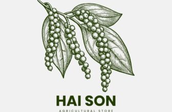 [🆕🇻🇳] IDOLE – món quà mà những người phụ nữ ưu tú trên toàn thế giới lựa chọn dành tặng cho mình 👕 Top1Fashion 👗  Nông sản Gia Lai HẢI SƠN đã cập nhật ảnh đại diện của mình.
, shares-0✔️ , likes-0❤️️ , date-2025-12-11 22:07:59🇻🇳🇻🇳🇻🇳📰🆕