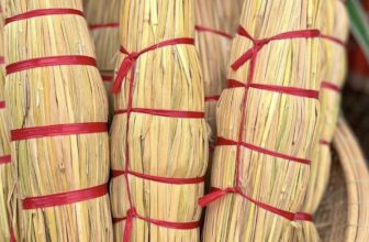 [🆕🇻🇳] Món Ngon Xứ Nẫu 77 – Chuyên cung cấp món ăn, đặc sản Bình Định 🍔 Top1Food  🍜 TRÉ QUÊ – TRÉ BÌNH ĐỊNH
TRÉ RƠM TAI HEO ĐẶC SẢN BÌNH ĐỊNH THƠM NGON
Món ăn không bao giờ là chán nhất là những ngày mưa như thế này, nhâm nhi một ít miến , shares-0✔️ , likes-1❤️️ , date-2025-12-11 20:13:55🇻🇳🇻🇳🇻🇳📰🆕