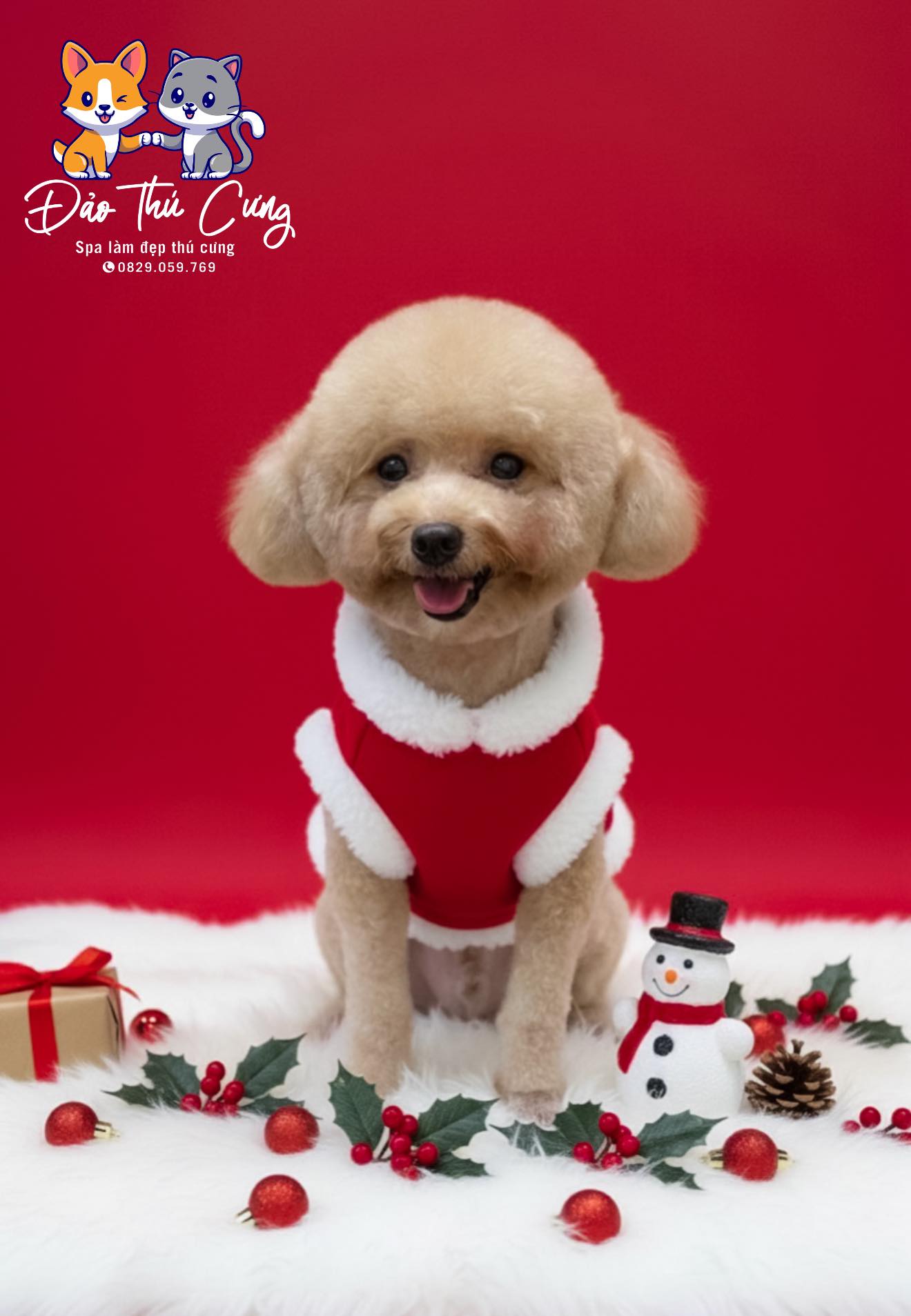 [🆕🇻🇳] ShopeeVN ♥️️ Top1Index 📚  ƯU ĐÃI ĐỘC QUYỀN CHỈ CÓ TRÊN YOUTUBE SHOPPINGTháng 12 bùng nổ ưu đãi – săn voucher đến 50% chỉ có trên YouTube Shopping!
Mỗi Chủ Nhật sẽ có loạt voucher , shares-1✔️ , likes-8❤️️ , date-2025-12-09 18:00:11🇻🇳🇻🇳🇻🇳📰🆕