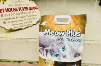 [🆕🇻🇳] Pets House Tuyên Quang 🐶🦜 Top1Pets 🐱🐠 𝑪𝒂́𝒕 𝒗𝒆̣̂ 𝒔𝒊𝒏𝒉 𝒎𝒆̀𝒐 𝑴𝒆𝒐𝒘𝑷𝒍𝒖𝒔 𝒔𝒊𝒆̂𝒖 𝒗𝒐́𝒏 𝒄𝒖̣𝒄– Chất lượng hàng đầu trong các dòng Cát vệ sinh.
– Siêu vón cục, siêu tiết kiệm cho các Boss.
– Hàng công t , shares-0✔️ , likes-0❤️️ , date-2025-12-11 19:36:46🐶🐱🇻🇳🇻🇳🇻🇳📰🆕