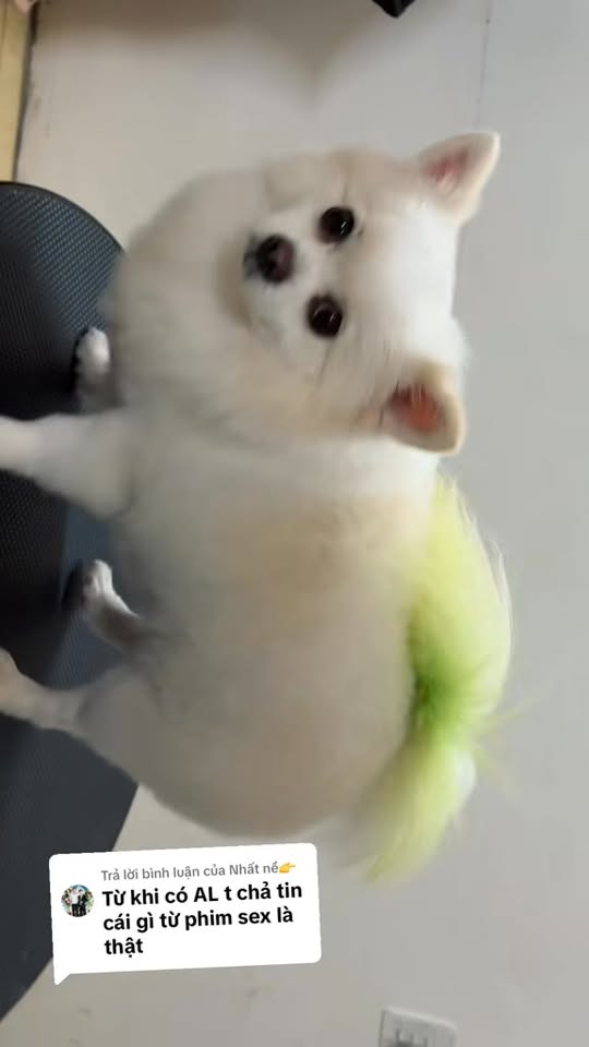 [🆕🇻🇳]  Mốt Kid EU – Đồ trẻ em 🧑‍🧒❤️️👶⭐️  , shares-102✔️ , likes-25❤️️ , date-2025-12-09 21:11:06🇻🇳🇻🇳🇻🇳📰🆕