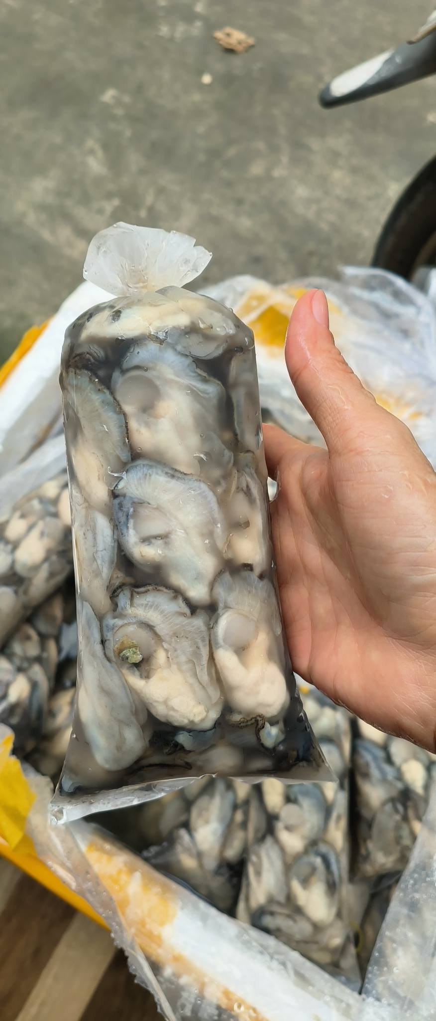 [🆕🇻🇳] Blue Coffee & BBQ – Nhà hàng thịt nướng & lẩu chuẩn vị Hàn Quốc đặc sắc 🍔 Top1Food  🍜  FESTIVE SEASON !
Trong không khí se lạnh báo hiệu mùa lễ hội đang đến gần, Nhà hàng Blue Coffee & BBQ sẵn sàng cùng bạn tạo nên những phút giây đầy ý nghĩ , shares-10✔️ , likes-4❤️️ , date-2025-12-14 16:57:06🇻🇳🇻🇳🇻🇳📰🆕