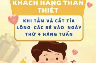 [🆕🇻🇳] Hachiko Pet Center – Quận 7  🐶🦜 Top1Pets 🐱🐠  ƯU ĐÃI RỰC RỠ – CHỈ RIÊNG THỨ 4!Giảm 15% đặc biệt cho dịch vụ tắm và cắt tỉa, cạo lông trong ngày thứ 4 hàng tuần!
Duy nhất mỗi thứ 4 – Nhanh tay đừn , shares-0✔️ , likes-1❤️️ , date-2025-12-10 01:17:21🐶🐱🇻🇳🇻🇳🇻🇳📰🆕