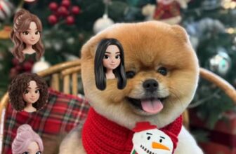 [🆕🇻🇳] Pet Hub Tây Ninh 🐶🦜 Top1Pets 🐱🐠 Trend này Pet Hub Tây Ninh đu kịp  , shares-0✔️ , likes-4❤️️ , date-2025-12-11 04:37:59🐶🐱🇻🇳🇻🇳🇻🇳📰🆕