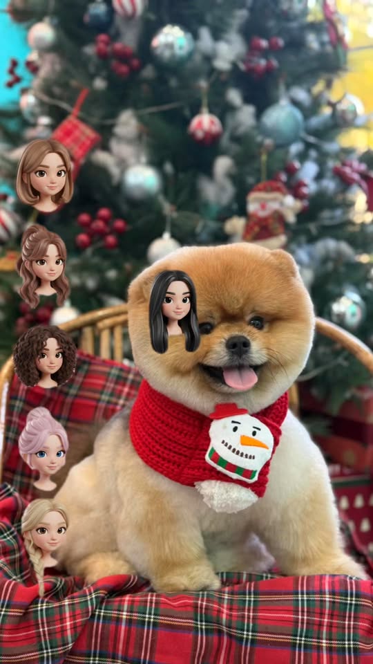 [🆕🇻🇳] JOLI — Women’s Fashion Brand 👕 Top1Fashion 👗  Vest đen form chuẩn tôn dáng, phối cùng chân váy trắng xoè nhẹ tạo hiệu ứng cao ráo và cực kỳ thanh lịch. , shares-0✔️ , likes-5❤️️ , date-2025-12-11 04:40:38🇻🇳🇻🇳🇻🇳📰🆕