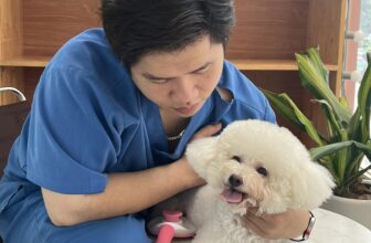 [🆕🇻🇳] Bệnh Viện Thú Y 2Vet – Giải Phóng 🐶🦜 Top1Pets 🐱🐠 Chill cùng Bs_——————————
BỆNH VIỆN THÚ Y 2VET GIẢI PHÓNG
Địa chỉ: 1261 Giải Phóng, Hoàng Mai, Hà Nội
Giờ làm việc: 8h – 12h và 14h- , shares-0✔️ , likes-1❤️️ , date-2025-12-12 05:02:02🐶🐱🇻🇳🇻🇳🇻🇳📰🆕