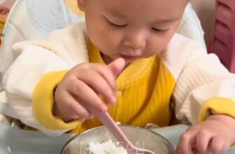 [🆕🇻🇳]  Ăn Dặm Cùng Con Yêu – CHUYÊN SẢN PHẨM ĂN DẶM HỮU CƠ CHO BÉ 🧑‍🧒❤️️👶⭐️ Lần đầu tập xúc của các bé nhà mình thế nào các mom có lưu giữ lại những khoảnh khắc đầu tiên này của con không? #xuhuong #andam #andamchobe #thucdonandam  , shares-0✔️ , likes-2❤️️ , date-2025-12-11 04:49:55🇻🇳🇻🇳🇻🇳📰🆕