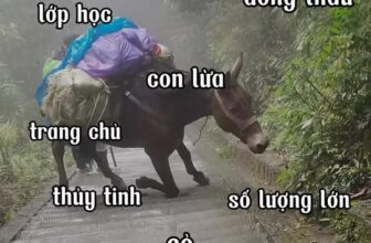 [🆕🇻🇳] Bingo Book – Sách thiếu nhi  📚 Top1Book 📖 Combo 3 sơ đồ tư duy từ vựng, giúp giỏi tiếng Anh. Ba mẹ tham khảo tại:  , shares-0✔️ , likes-0❤️️ , date-2025-12-17 23:07:04🇻🇳🇻🇳🇻🇳📰🆕📚