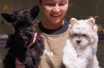 [🆕🇻🇳] AiNi Sweet Land – Pet Resort – Saigon 🐶🦜 Top1Pets 🐱🐠  𝐒𝐂𝐎𝐓𝐓𝐈𝐒𝐇 𝐓𝐄𝐑𝐑𝐈𝐄𝐑 𝑉𝑆 𝐖𝐇𝐈𝐓𝐄 𝐓𝐄𝐑𝐑𝐈𝐄𝐑Độc – hiếm & đặc biệt là có sẵn tại #Ainisweetland quý khách có thể tới tương tác – giao lưu để hiểu rõ tính cách của t , shares-1✔️ , likes-5❤️️ , date-2025-12-13 21:01:22🐶🐱🇻🇳🇻🇳🇻🇳📰🆕