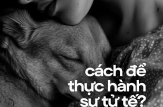 [🆕🇻🇳] POLKAHOLICS – Cửa hàng quần áo nữ 👕 Top1Fashion 👗  Cách tốt nhất để thực hành sự tử tế, đó là hãy bắt đầu với chính mình.Khi nhắc đến sự tử tế, phần lớn mọi người thường nghĩ ngay đến cách ta đối nhân xử  , shares-3✔️ , likes-1❤️️ , date-2025-12-12 19:48:14🇻🇳🇻🇳🇻🇳📰🆕