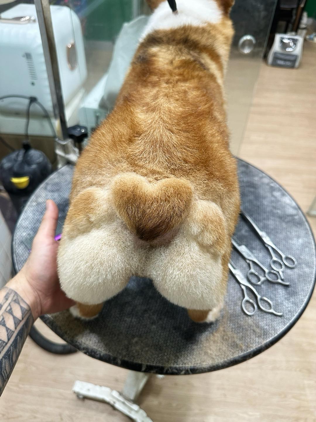 [🆕🇻🇳] Clb Mani Om Yoga – Trung tâm yoga chuyên nghiệp, uy tín tại quận 10 🧘 Top1Yoga 🤸🏻‍♀️ Cơ thể dẻo dai hơn từng ngày, hạnh phúc cũng nở hoa theo từng hơi thởƯu đãi tập thử 12 buổi chỉ với 399k
Đăng ký bằng cách nhắn tin fanpage hoặc zalo 093 , shares-0✔️ , likes-16❤️️ , date-2025-12-10 17:18:57🇻🇳🇻🇳🇻🇳📰🆕