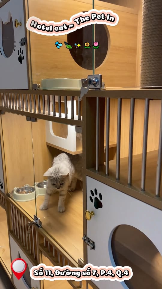 [🆕🇻🇳] The Pet In – Spa, Grooming, Hotel thú cưng 🐶🦜 Top1Pets 🐱🐠 ud83dudc3eDu00e0nh cho cu00e1c Ba Mu1eb9 u0111ang quan tu00e2m du1ecbch vu1ee5 ud835udc07ud835udc28ud835udc2dud835udc1eud835udc25 ud835 , shares-0✔️ , likes-1❤️️ , date-2025-12-19 03:00:43🐶🐱🇻🇳🇻🇳🇻🇳📰🆕