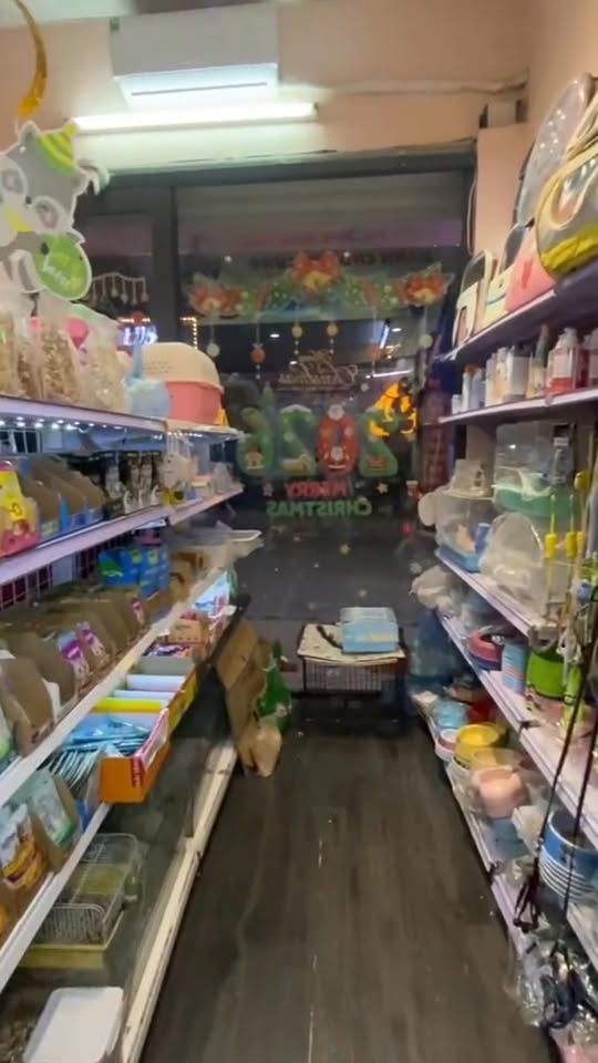 [🆕🇻🇳] Pet&Joi Petshop 🐶🦜 Top1Pets 🐱🐠 Cập nhật Cửa hàng chúng tôi chào mừng tất cả các sen #xuhuong #viral #phukienchomeo  #14ducthang #petshop , shares-0✔️ , likes-0❤️️ , date-2025-12-13 23:05:59🐶🐱🇻🇳🇻🇳🇻🇳📰🆕