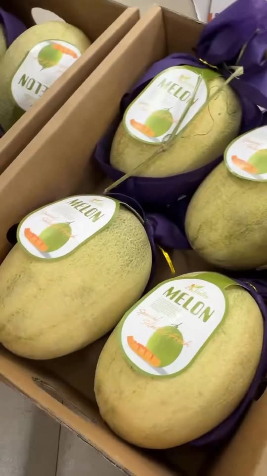 [🆕🇻🇳] Trái cây nhập khẩu – Han Fruit 🍔 Top1Food  🍜 Dưa Aladin Sale em về được lô sale đậm sâu
Số lượng cực ít ah
Giá siêu ưu đãi: 240k/thùng 4 trái tầm 6-6,5kg
Han mời cả nhà ah , shares-0✔️ , likes-2❤️️ , date-2025-12-18 18:42:35🇻🇳🇻🇳🇻🇳📰🆕