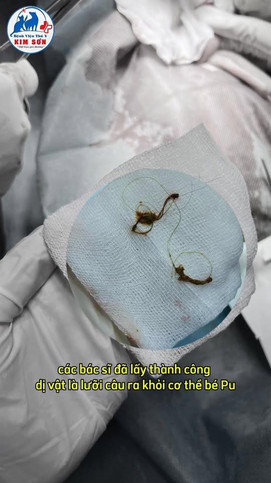 [🆕🇻🇳] TPBank – Ngân hàng TMCP Tiên Phong ♥️️📚  Khách iu gọi, ChatGPT trả lời với deal Giảm tới 200K 

 Thẻ TPBank đang có deal gì HOT tại ChatGPT thế? 
 ChatGPT: giảm 50% tới 200.000đ vào mỗi Thứ 6 từ n , shares-4✔️ , likes-55❤️️ , date-2025-12-20 02:30:05🇻🇳🇻🇳🇻🇳📰🆕